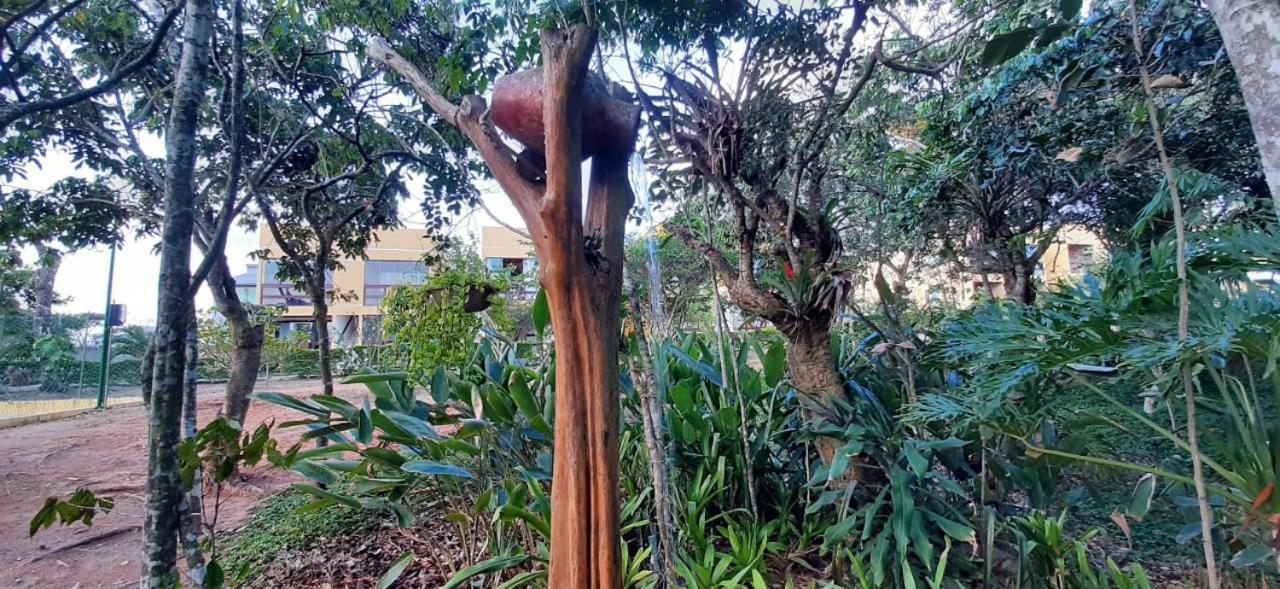 Flat Condominio Paraiso Serra Negra Bezerros Pokoj fotografie